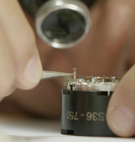 德國HAWE哈威柱塞泵